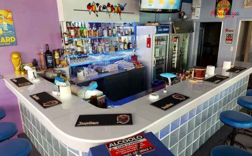 Garden Beer Bar the bar Garden Beer Bar Pattaya the bar